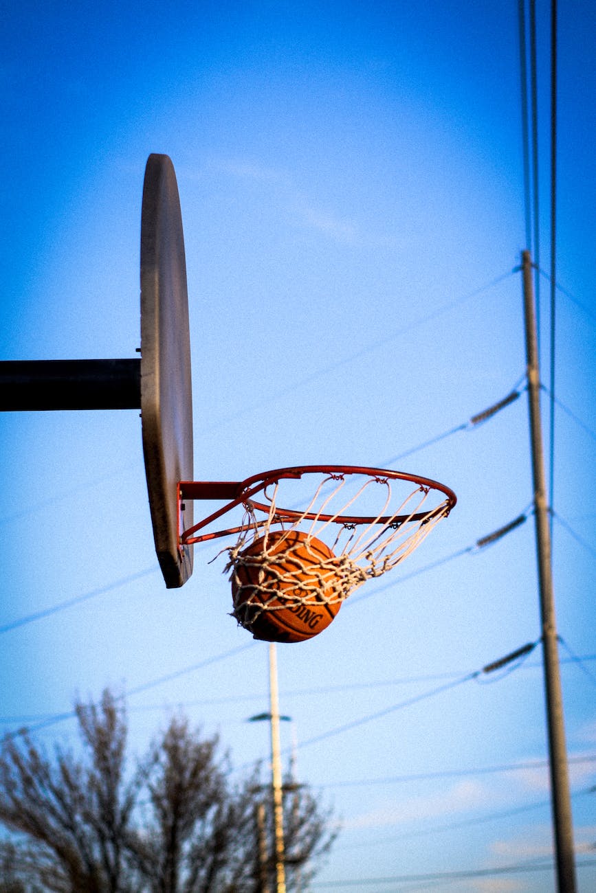basketball net